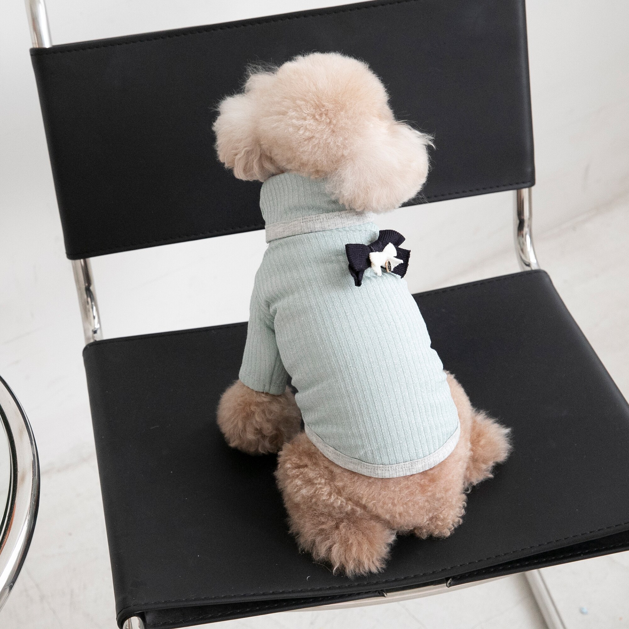 Vêtements chauds pour animaux de compagnie, en velours argenté, à col haut, pour chat et chien, veste Bichon Teddy, automne et hiver