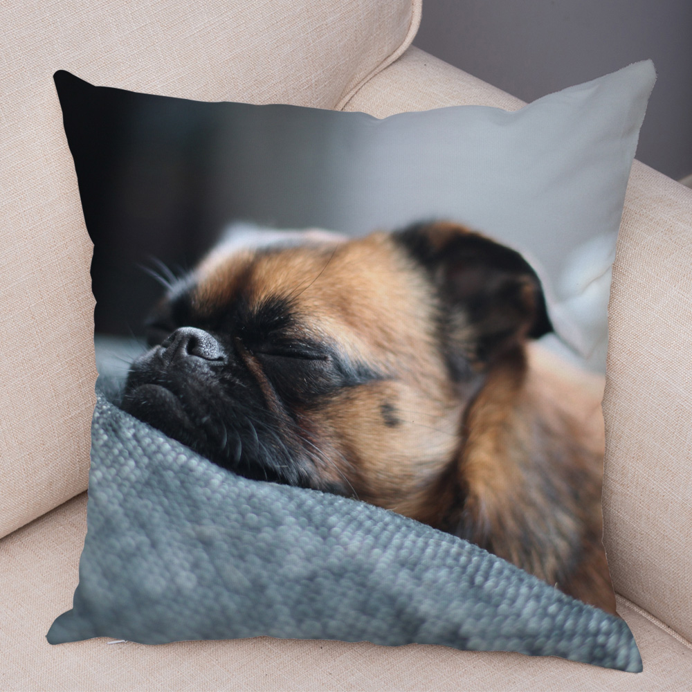 Housse de coussin carlin mignonne, oreiller décoratif imprimé pour animaux de compagnie, pour voiture, canapé, maison, en Polyester