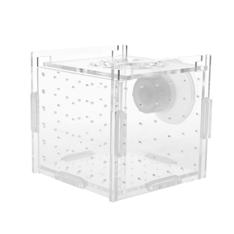 Akvariefisk opdræt isolationsboks baby fisk inkubator luge opdrætter akvarium: Default Title