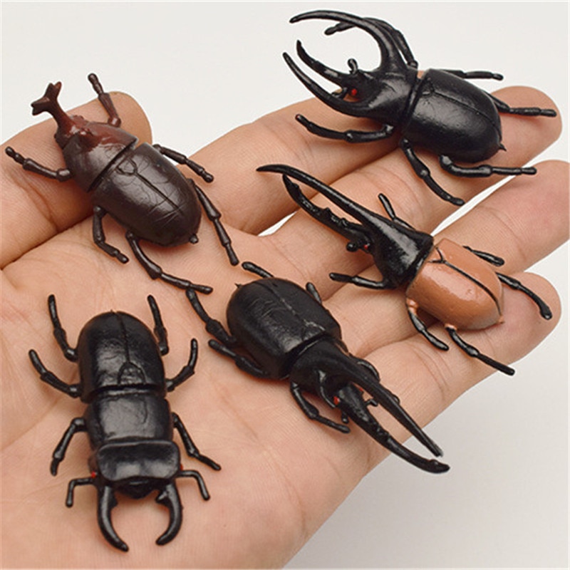 5pcs 5.5cm simulation beetle Toys Special Lifelike Model Simulation insect Toy nursery teaching aids joke toys