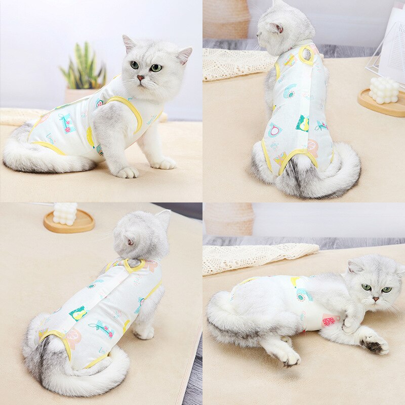 Vêtements de stérilisation pour chat, tenue de chirurgie douce et fine, anti-léchage, garde au , produits de beauté pour animaux de compagnie, costume de récupération pour chat, mignon
