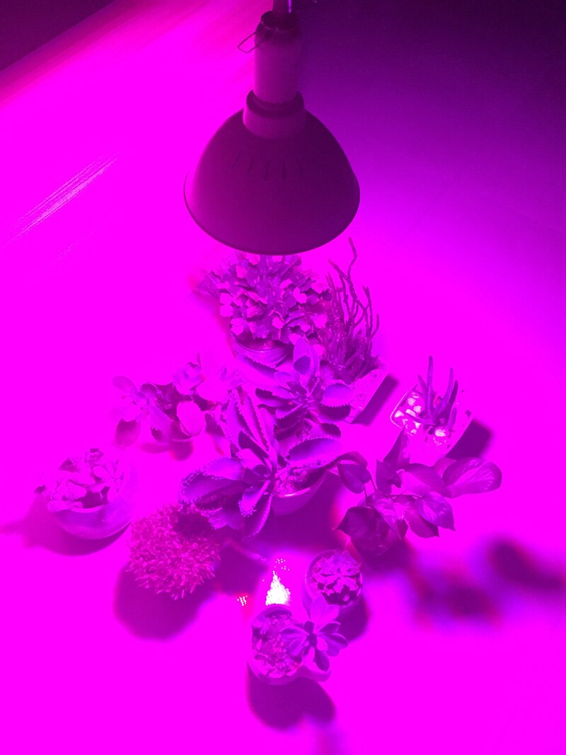 Poderoso 800 led planta cresce a luz interior de espectro completo hidroponia flor fito lâmpada tenda estufa growbox vegetal cultivar e27