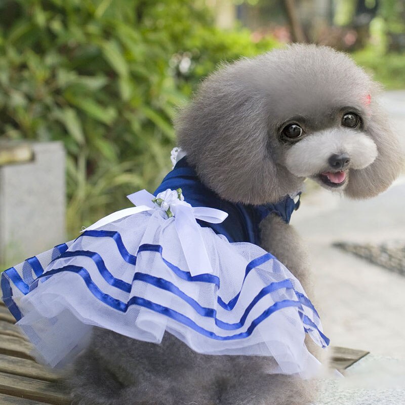 Jupe princesse pour chien, vêtement pour animaux de compagnie, rouge uni, avec nœud ruban en Polyester, robes chics pour filles, printemps/été: Bleu / L
