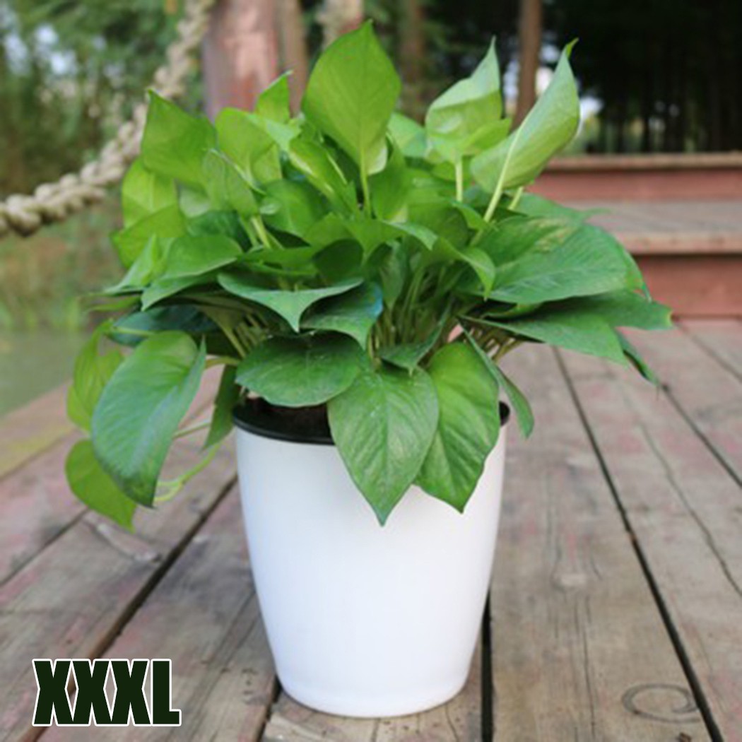 Lazy Flower Pot Flowerpot Imitation Porcelain Series Plastic Self Watering Pot Outer Inner Green Plants Pot For Home Decoration: Light Grey