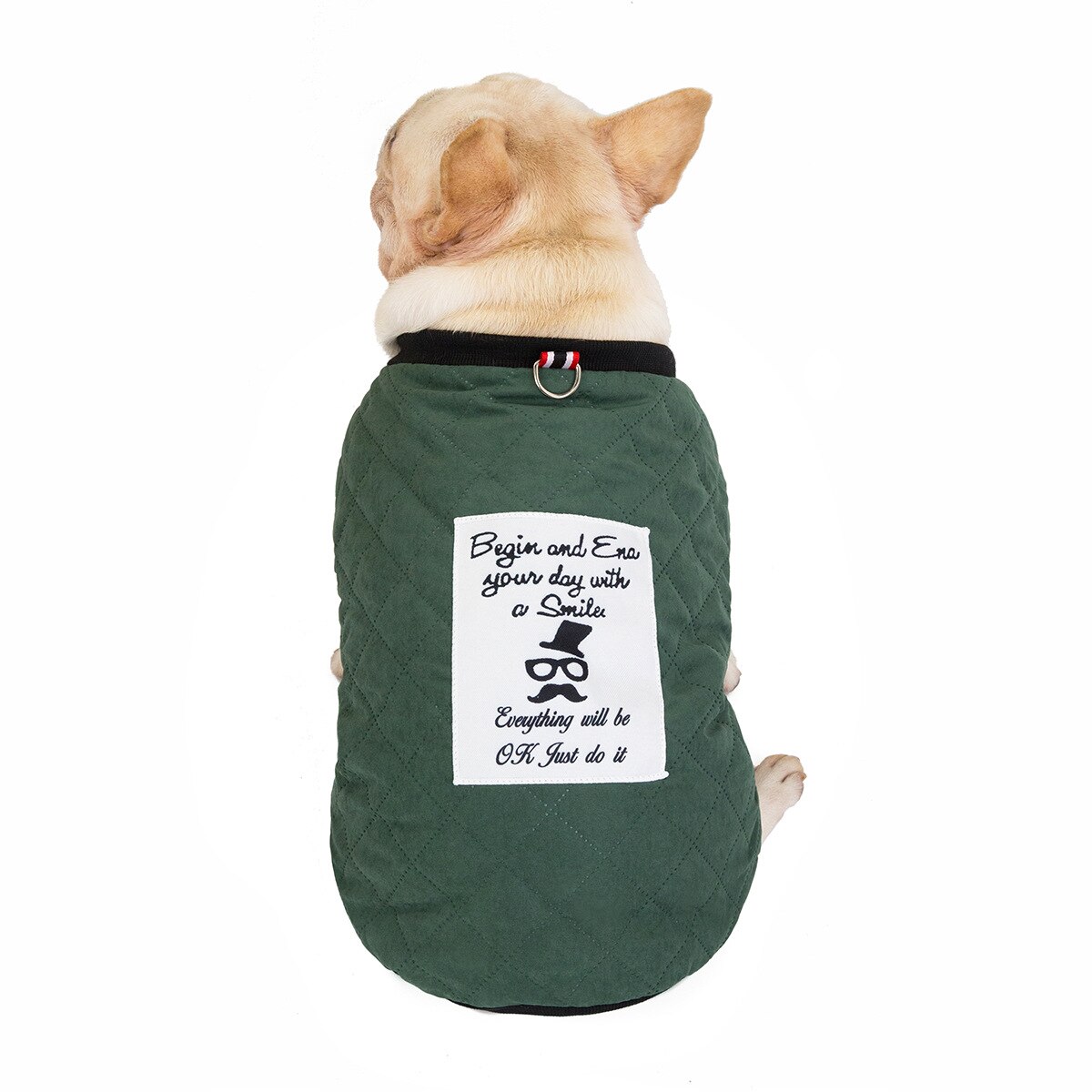 Animal de compagnie Bulldog loi combat Beijing Shar Pei chien coton manteau automne hiver épaissi 19 taureau Plaid coton manteau