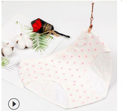 Meisje Menstruele Slipje Fysiologische Slips Bloemen Lingerie Lekvrij Verbreed Vrouwelijke Ondergoed Studenten Waterdicht Slipje: 6