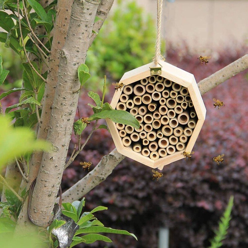 Bee House Handmade Natural Wood Bee Hive Attracts Peaceful Bee Pollinators To Enhance Your Garden's Productivity