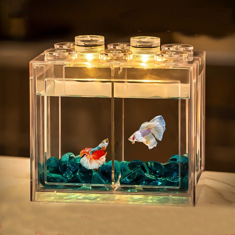 Minni Betta-pecera para tortugas, reptiles, medusas, peces dorados, camarones, bolas de musgo, insectos, caja de Decoración de mesa, suministros para acuario