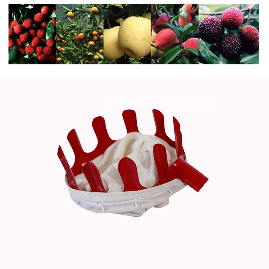 Frugtplukker havearbejde frugtopsamlingsværktøj frugtopsamler enhed drivhus haveplukkeapparat  #t1p