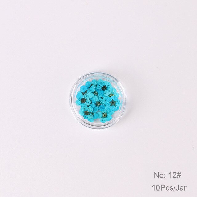 10 st  /1 box äkta nagelblommor gör-det-själv naturliga torkade blommor naglar konst dekoration torr flowe manikyr tillbehör blomdekaler: 12