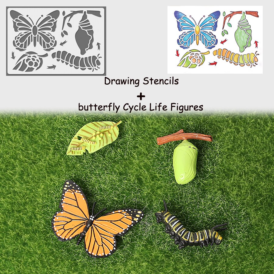 Simulation Animals Life Cycle Model Ladybug Butterfly Hen Turtle Frog Ant Figurine and Stencils Drawing Educational Toys: 1Butterfly 1Stencil