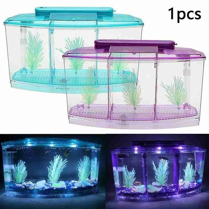 Betta boîte à poisson Cube Betta Aquarium boîte séparé élevage frai poissons-élevage-boîte Isolation-boîte semis Aquarium Aquarium Aquarium Aquarium
