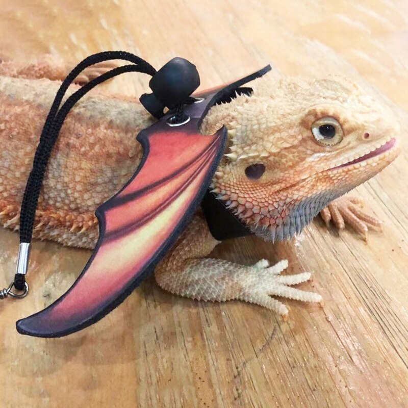 Bearded Dragon Harness Set Lizard Leash with Wing Adjustable for Reptiles