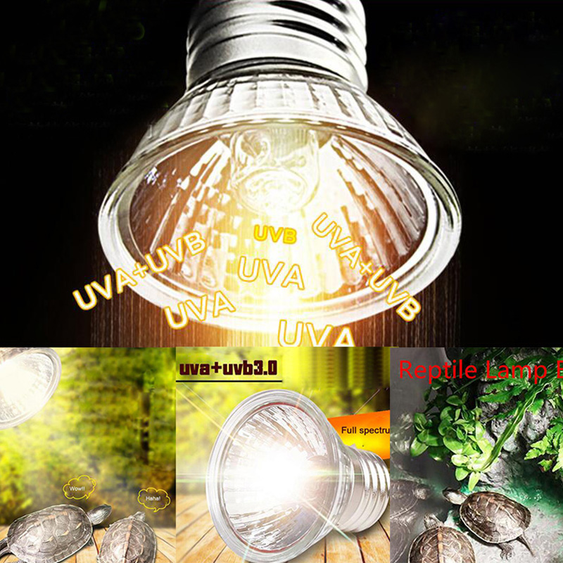 25 W/50 W/75 W UVB 3.0 Reptiel Lamp Schildpad Koesteren UV Gloeilampen Verwarming Lamp amfibieën Hagedissen Temperatuur Controller