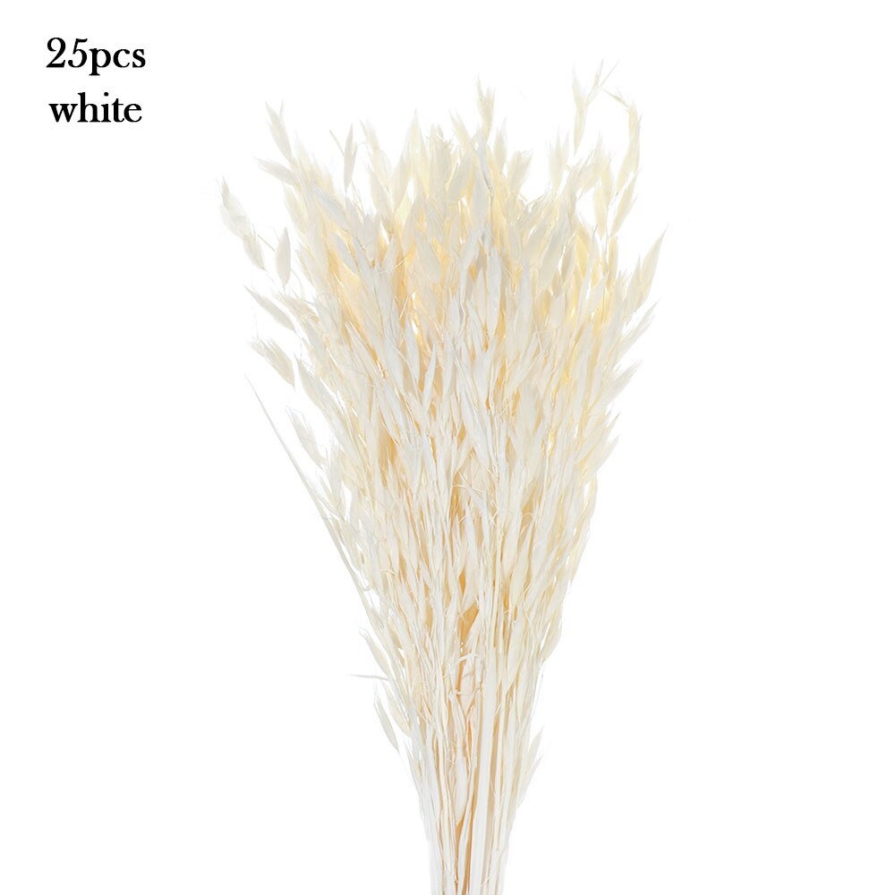 15/25 sztuk trzciny naturalne pszenicy kwiat bukiet suszone Pampas ślubny kwiat bukiet bukiety Bulrush dla Home Decor materiały ślubne: 25PCS-white