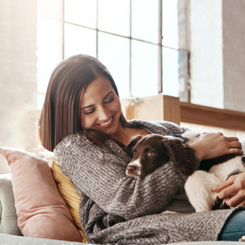 Hund kissdyna återanvändbar absorberande vattentät valp hund katt kissunderlägg matta urin sällskapsdjur träningsmatta