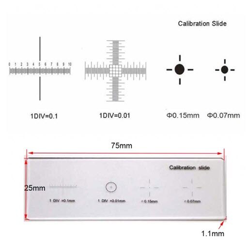 Scientific 5-in-one DIV=0.01mm Microscopestage Micrometer/ Calibration Micrometer Slide,Objective Micrometer