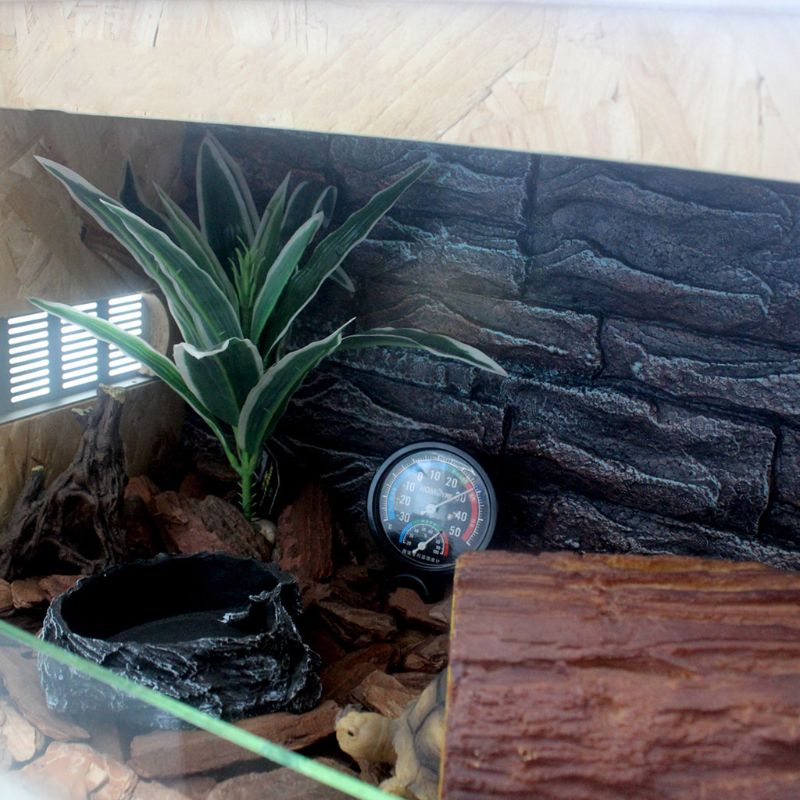 Reptile Temperature Thermometer Humidity Hygrometer Gauge Vivarium Tank Supplies Reptile Thermo-hygrometer
