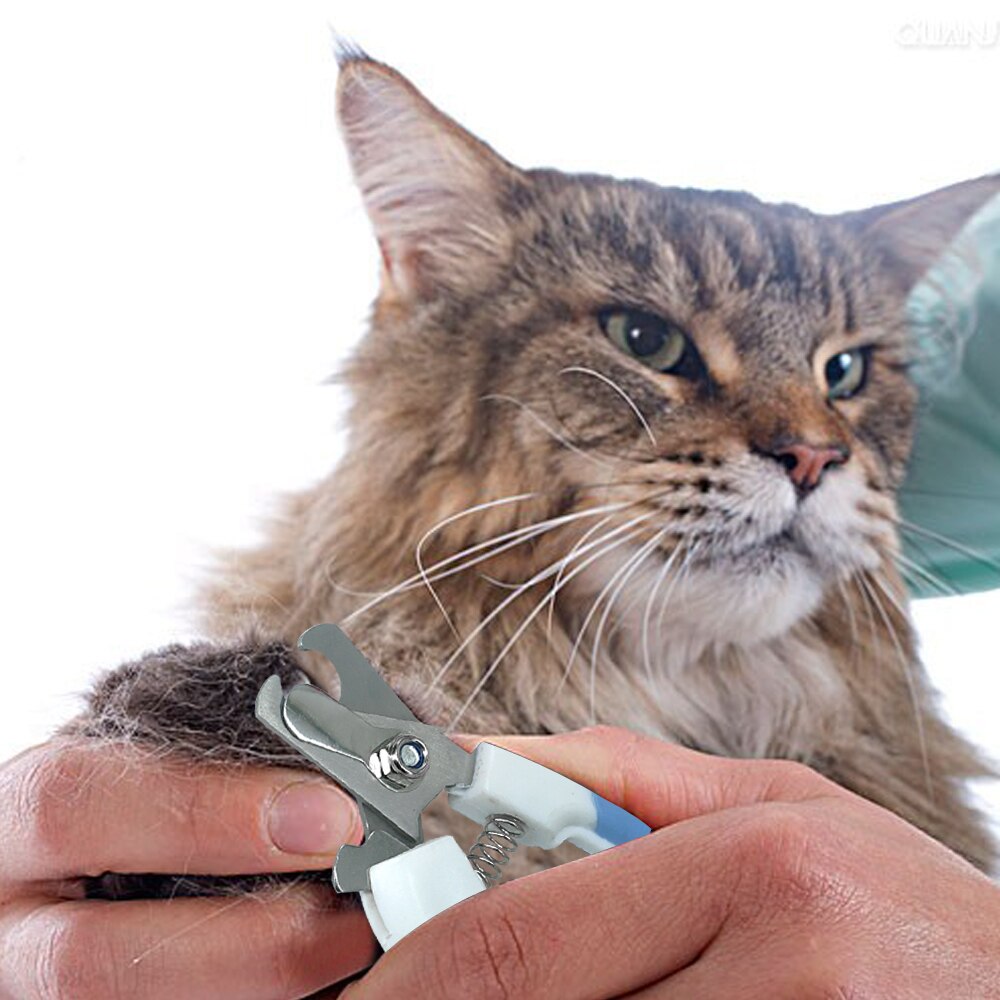 Haustier Sicherheit Klaue Hund Nagel Knipser Pflege Datei Katzen Und Hunde Haarschneidemaschine Schere Cutter Körperpflege Kostenloser Nagel Zehe Datei Enthalten E
