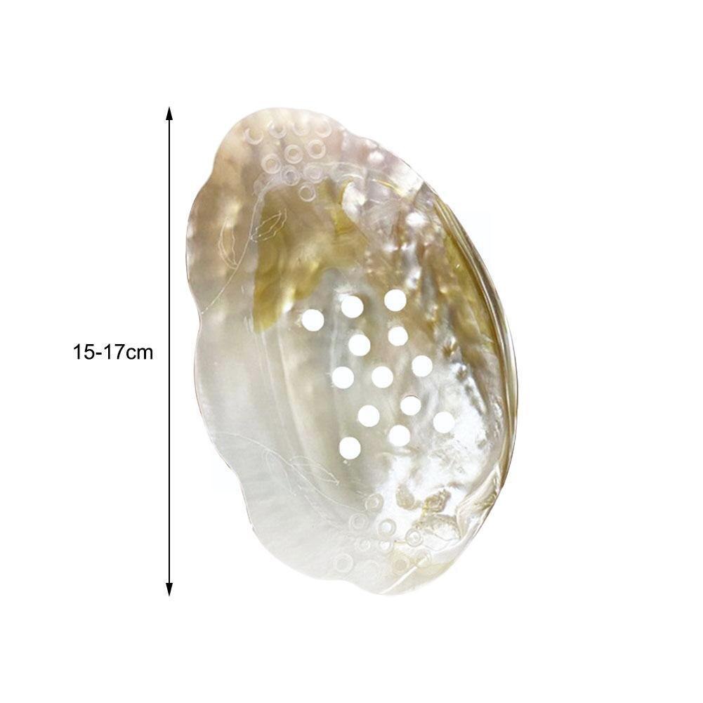 Natural Freshwater Pearl Shell Oyster Mother of Pearl Nautical Home Decor Beach Clam Shell for DIY Jewelry Making Craft Sea U0I0