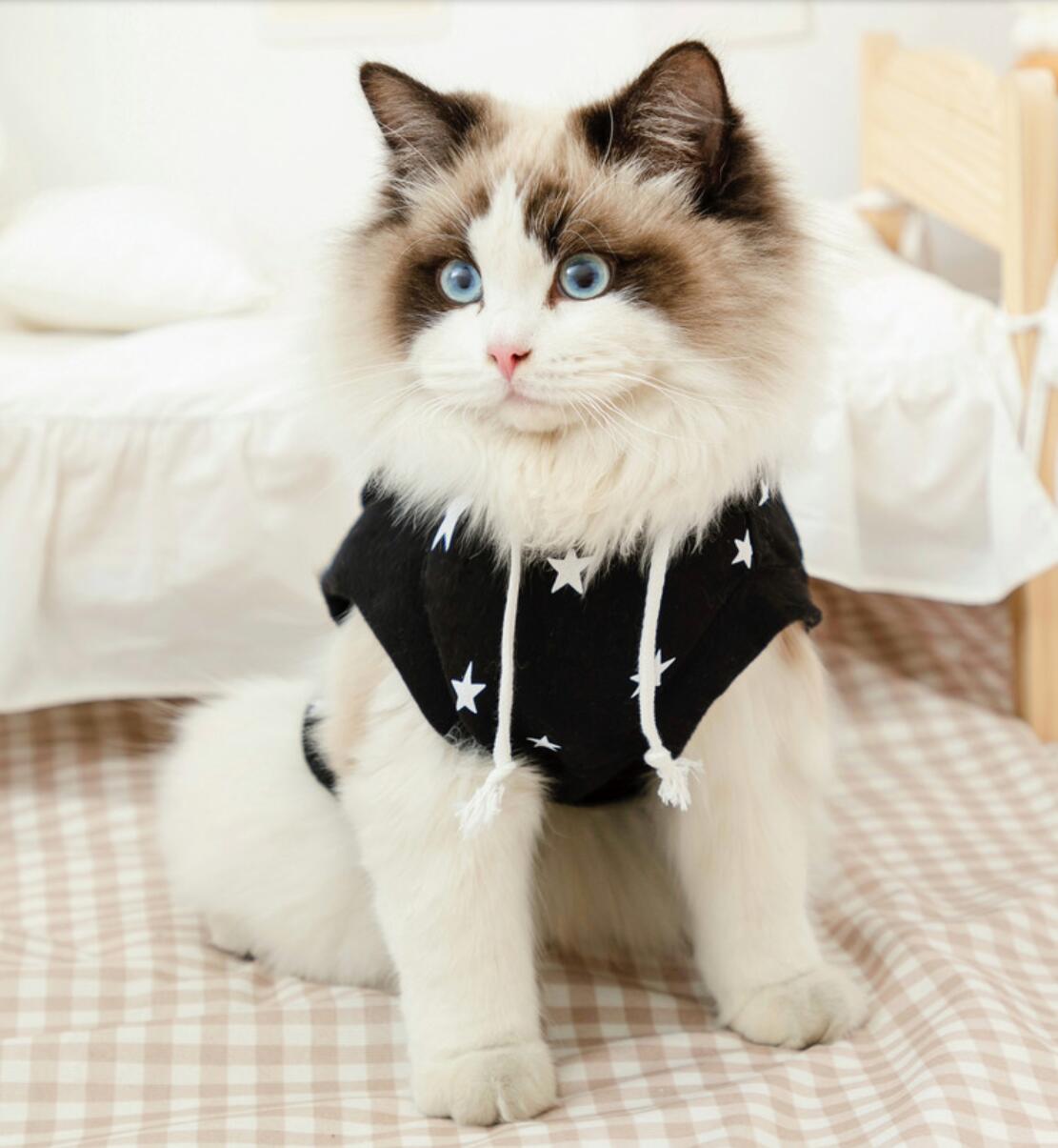 Ropa de algodón para gato, camisa de chaleco para perros pequeños y medianos