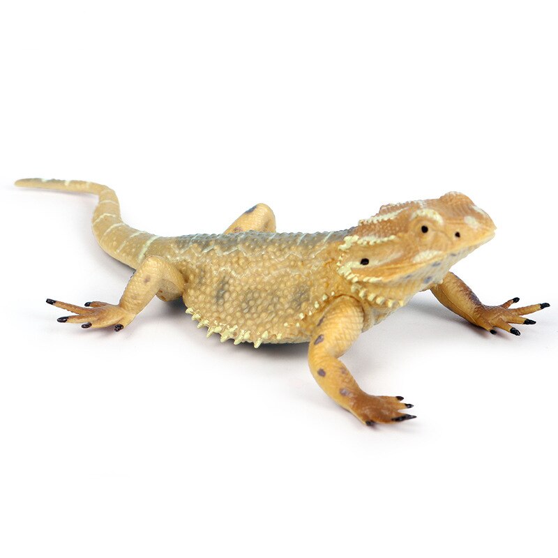 Lizard Figuur Simulatie Diermodel Collector Decor Amfibie Dier Model Hagedis Koelbloedige Reptiel Dieren Figuren