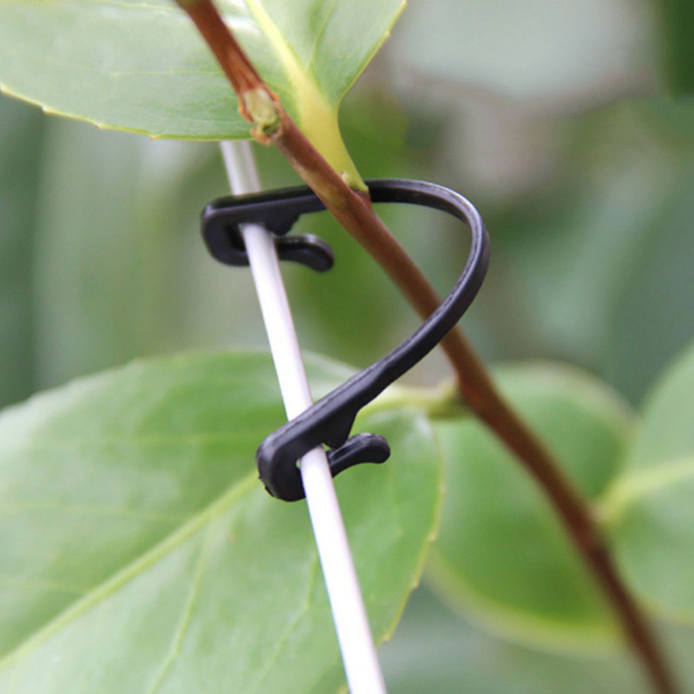 Plant Klimmen Haken Tuin Haken Tomaat Ondersteuning J