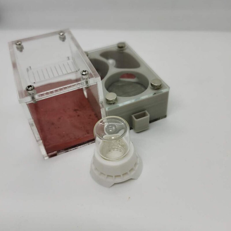 Grey 3D Plane Ant Nest Acrylic Nest Concrete Nest Ant Farm Reptile Terrarium 9.8x8x5.4cm