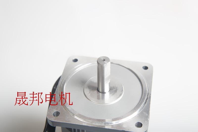 AC40W motor 220V / 110V optical axis speed motor / gear motor 5IK40RA-C