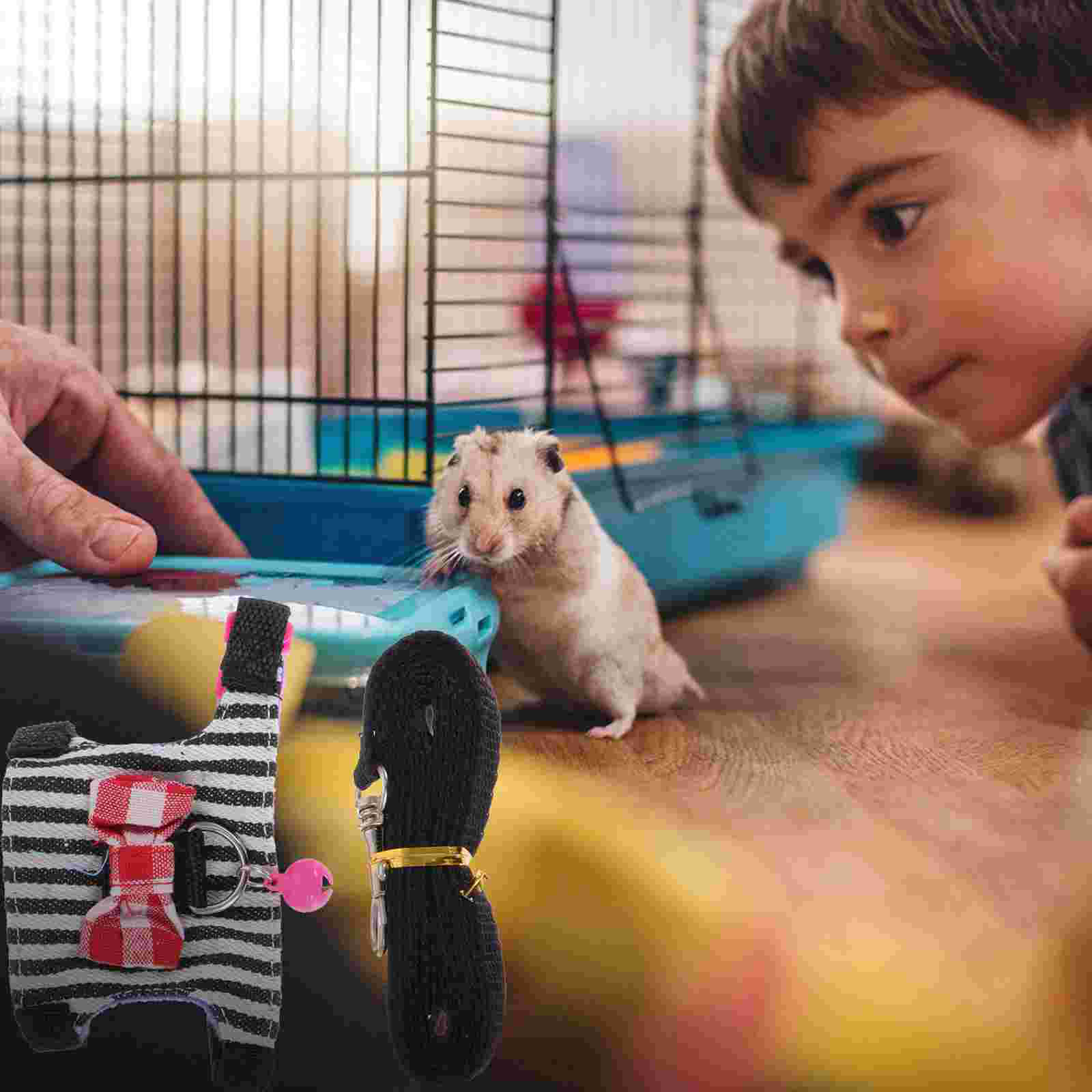 2 Sets of Decorative Hamster Harness Portable Hamster Leash Comfortable Rat Leash
