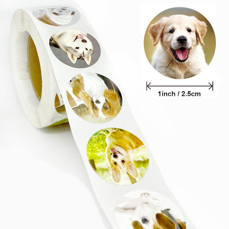 500Pcs Cute Animal Stickers Beloning Kids Grappige Kat Hond Stickers Voor Pakket Labels Cool Skateboard Stickers Laptop Voor Kid speelgoed: 500pcs F
