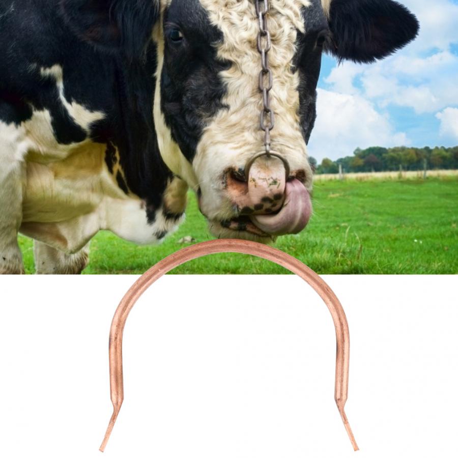 Ko næse ring tyr ko kvæg næse ring husdyr veterinær opdræt tilbehør husdyr næse ring