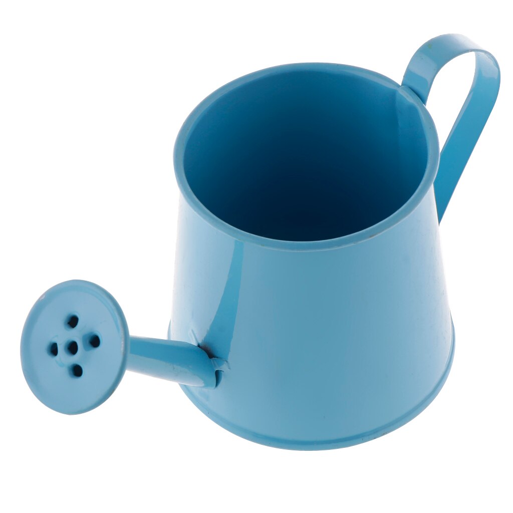 Mini arrosoir en fer en métal, Pot de fleurs en fer, Pot de fleurs de jardin, jardinière de plantes, décoration de la maison: Blue