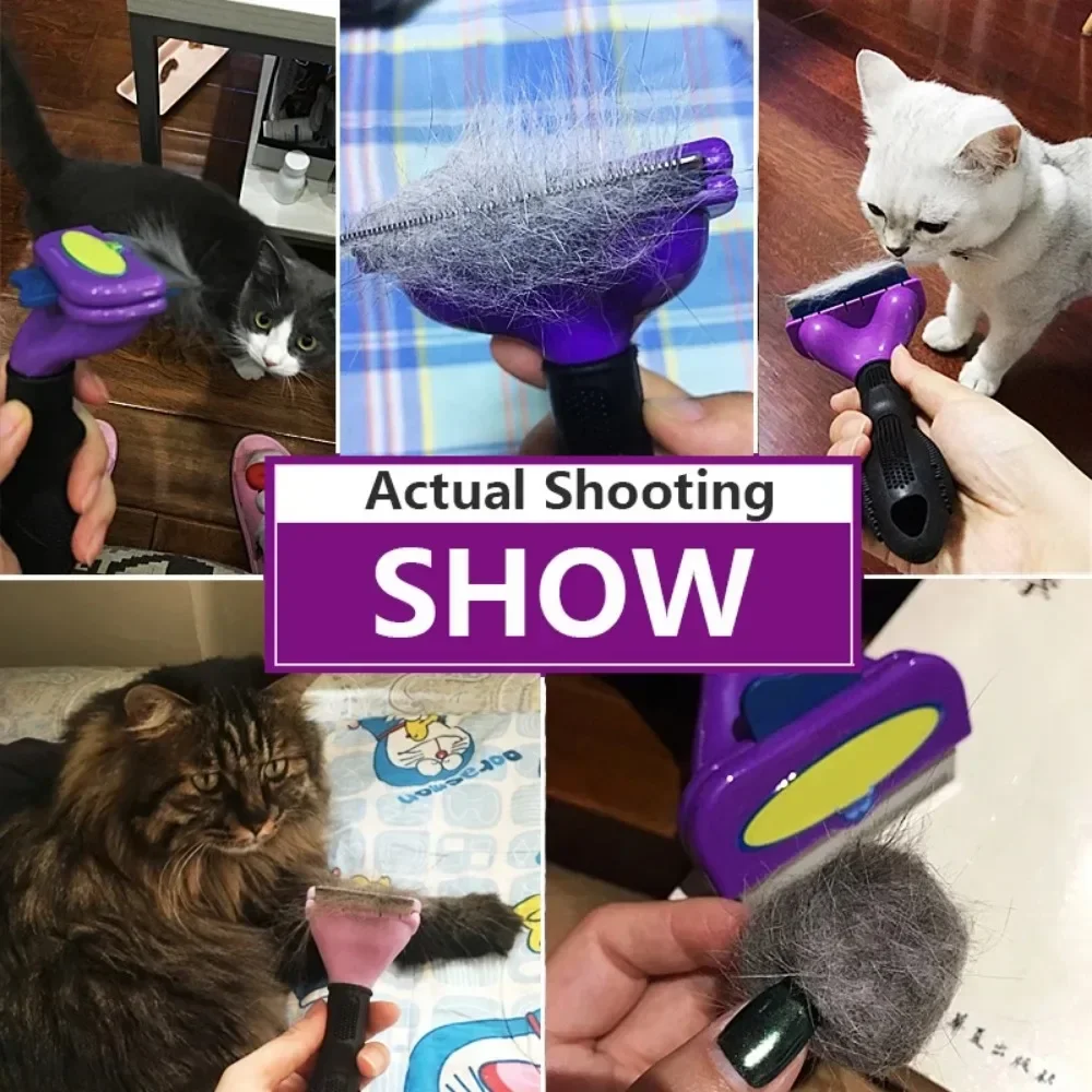 Peigne d'épilation pour chat, brosse pour chien, peigne de Massage pour poils de chat, épilateur de nettoyage, toilettage pour animaux de compagnie, peignes pour chats
