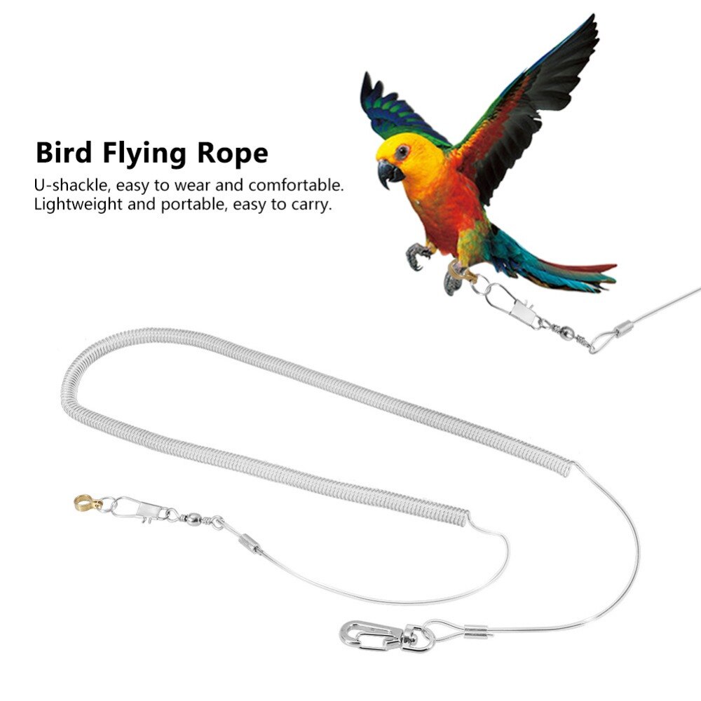 6m papegøje fugl anti-bid flyvende træning reb snor kit tilfældig farve fod ring dia papegøje flyvende reb træning reb kæledyr forsyninger