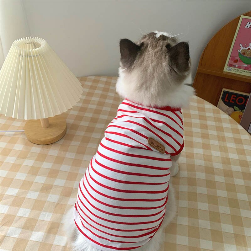 Spring Cat Clothes Pet Clothing for Small Cats Dogs Cat Costumes Soft Kitten Kitty Coat Jacket Puppy Clothes Outfit Mascotas: Red / XL