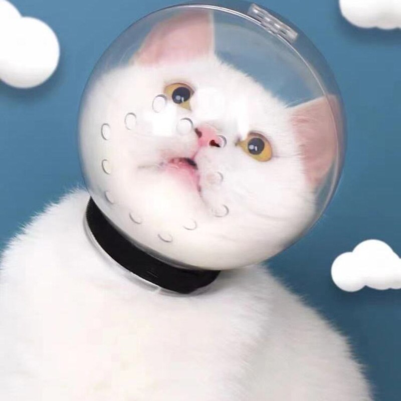 Cubierta de aseo para gatos con Bola Espacial transpirable, máscara de bozal para gatos, gatito, recorte de uñas, baño, sombrero de seguridad antimordedura, suministros