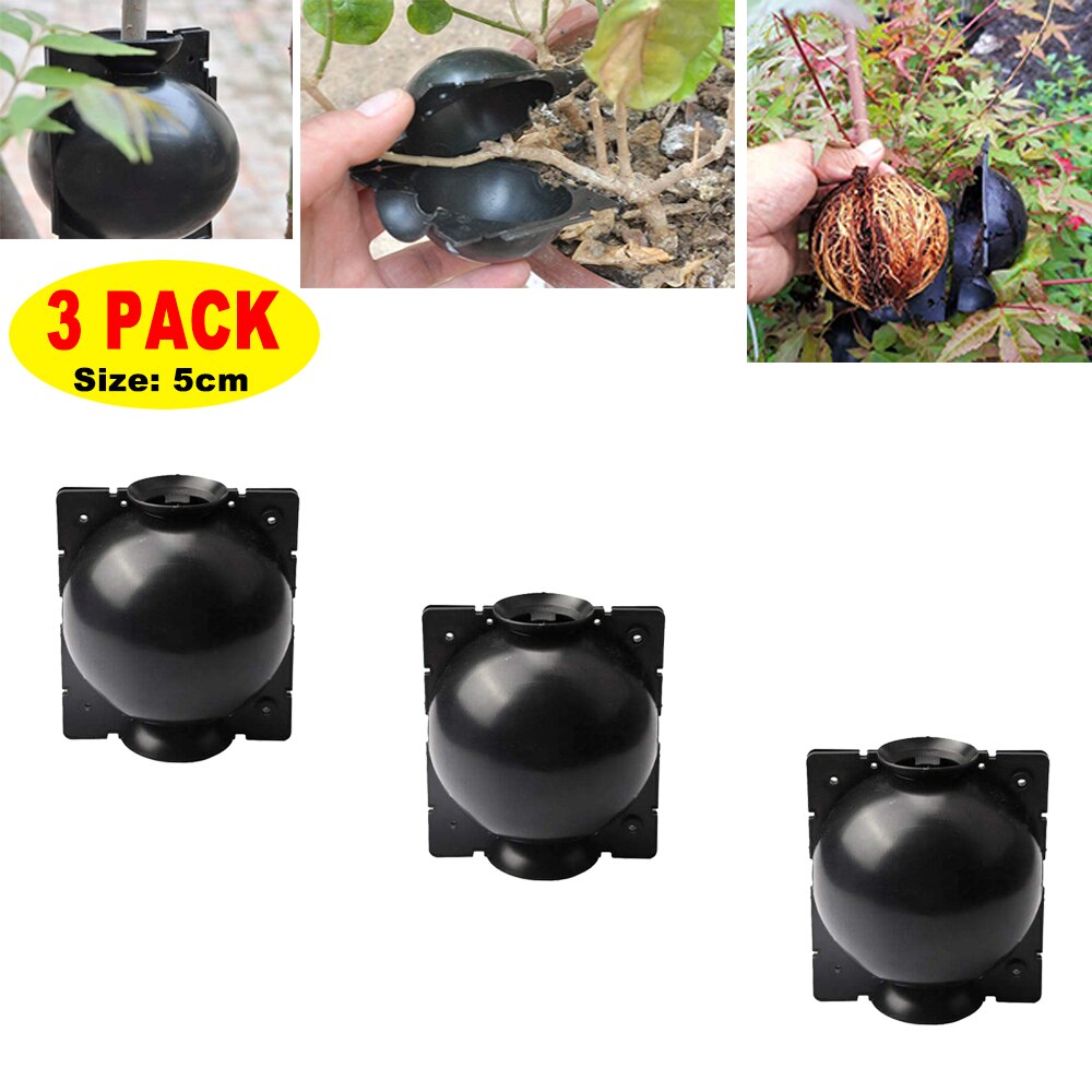 1/3/5/Pcs Plant Rooting Ball Root Grafting Growing Box Breeding Case Plant Root Device Layer Pod High Pressure Ball for Garden: 3Pcs Black