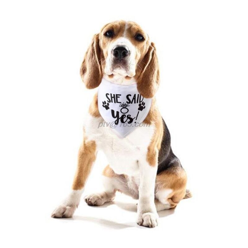 Hund Hochzeit Bandana Mein Menschen sind Immer Verheiratet Sagte sie Ja Haustier Dreieck Lätzchen Schal Halstuch Engagement Announcemet