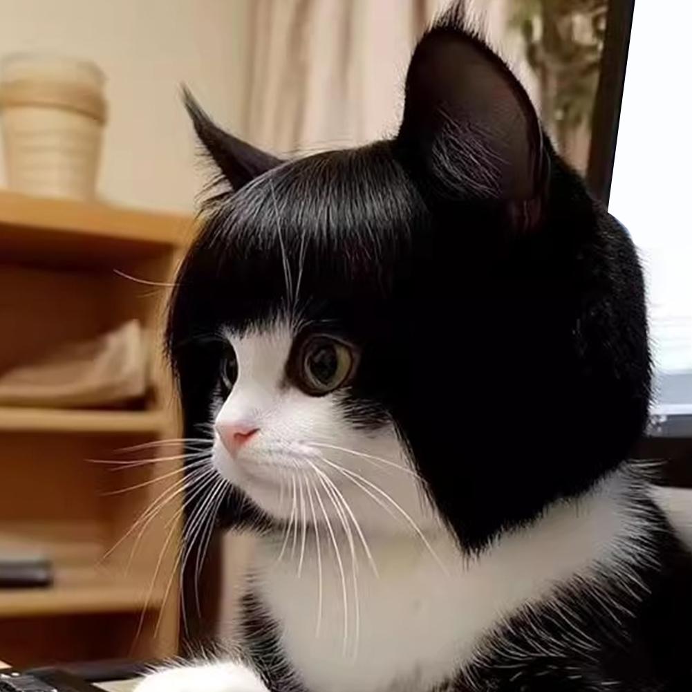 Accesorios de peluca para gato, tocado para perro, disfraz divertido, disfraz de cachorro, vestido de Cosplay, peluca bonita para mascota, accesorios divertidos para la cabeza
