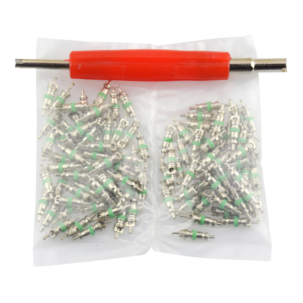 101pcs Car R12 A/C System Air Conditioner Schrader Valve Core With Tool Kit