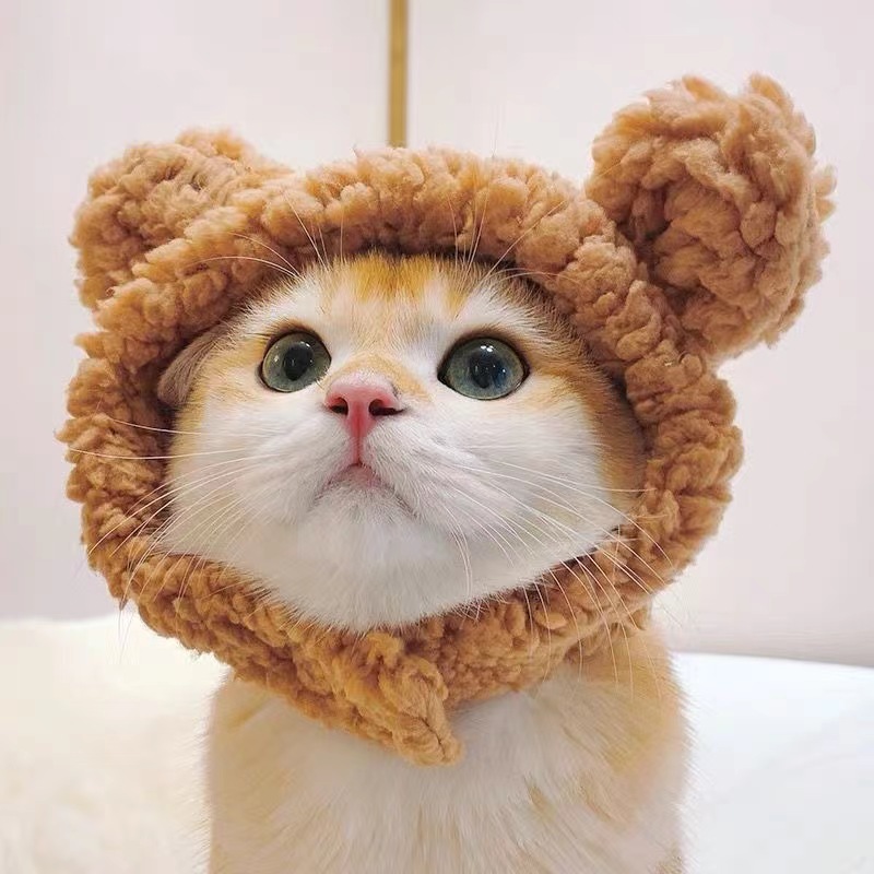 Casquette de chat drôle, couvre-tête en peluche, mignon chat chien tissé, coiffure chaude, chapeau pour animaux de compagnie, chaton, chiot, accessoires de Costume de Cosplay: Black