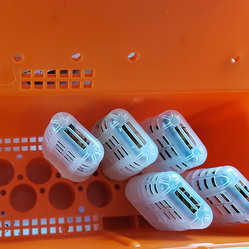Beekeeping Supplies Queen Bees Box Queen Cages Queen Rearing Equipment Queen Cell Incubator Accessories