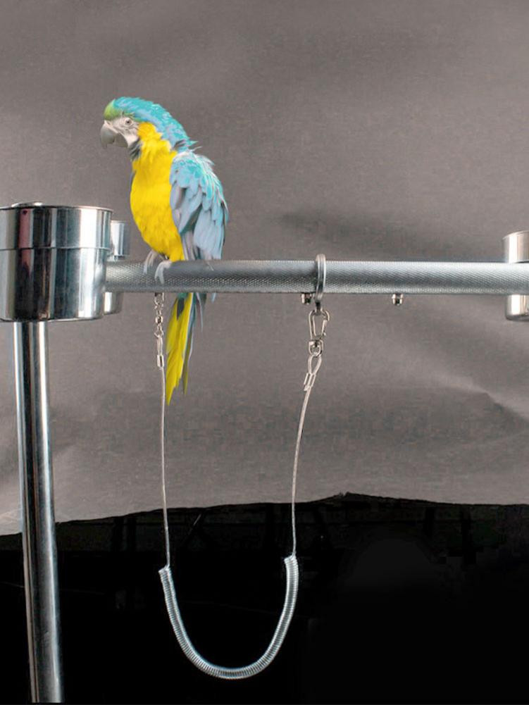 3M Vogel Fliegen Ausbildung Leine Mit Bein Ring Ultra-licht flexibel Papagei Vogel nutzbar machen Anti-biss Seil für Ara Nymphensittich Star