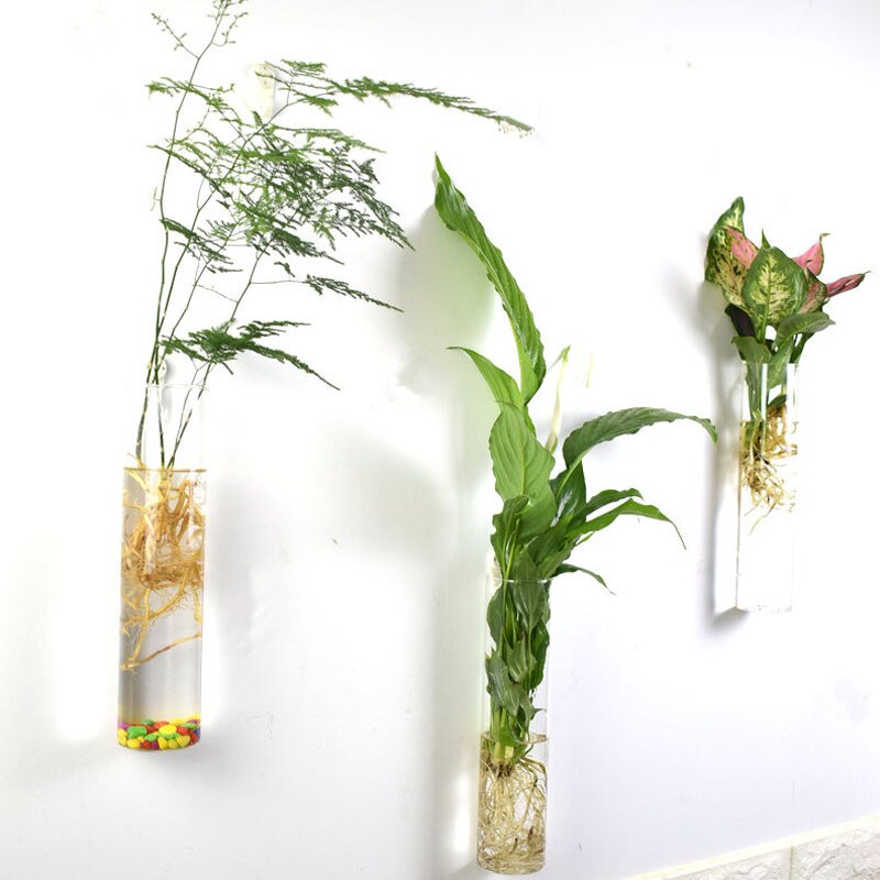 Europese glazen hydrocultuur wandbloemvaas, groene planten, wanddecoratie, aquarium, knutselen, scandinavische bloempot