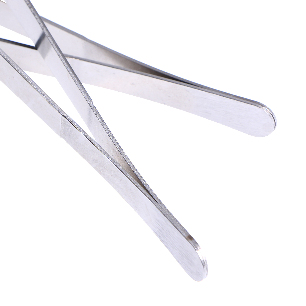 2Pcs Spider Hagedissen Reptiel Voor Tangen Pincet Voeden Tang Rvs Multifunctionele Rechte En Gebogen Pincet