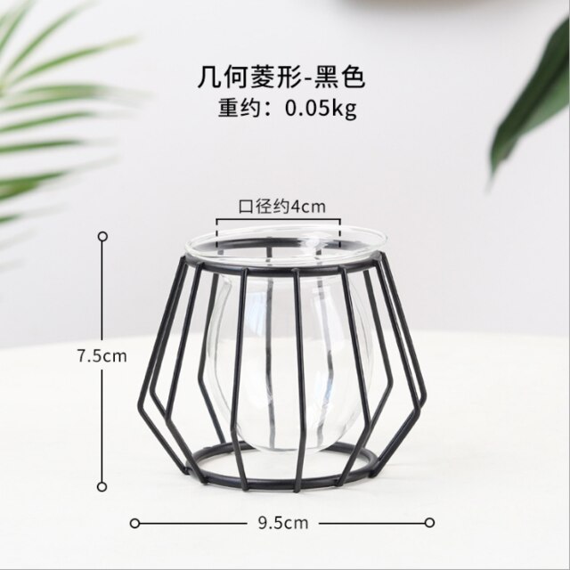 Soportes de Metal para plantas de aire, contenedores de arte del hierro de estilo moderno para cultivo de flores y agua: C