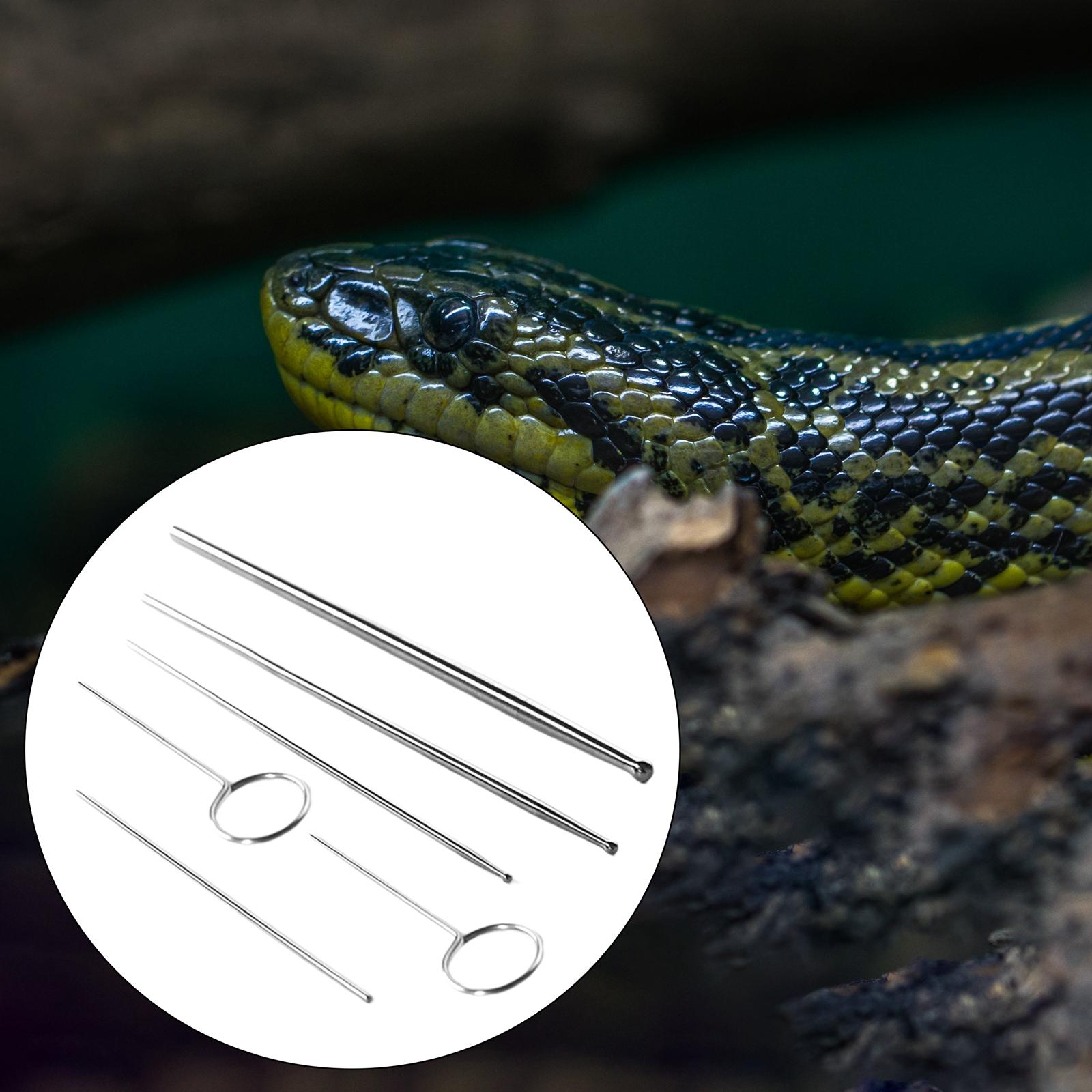 Pack-6 Snake Gender Detector Kit Different Size with Case High Performance Durable Simple Operation Premium Compact