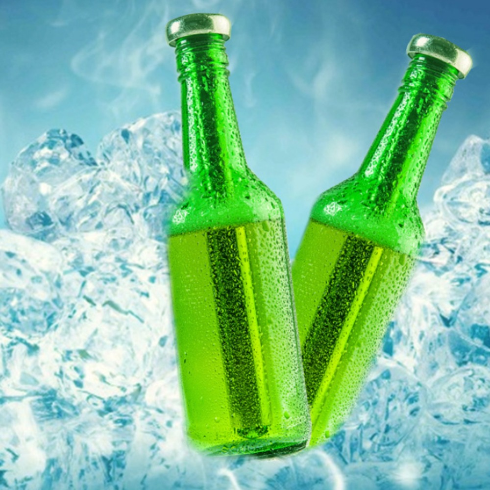 2 pz in Acciaio Inox di Raffreddamento Spiedi Bottiglia di Birra refrigeratore Spiedi per Una Rapida di Raffreddamento di Bevande in Bottiglia Fisico Interno Congelati