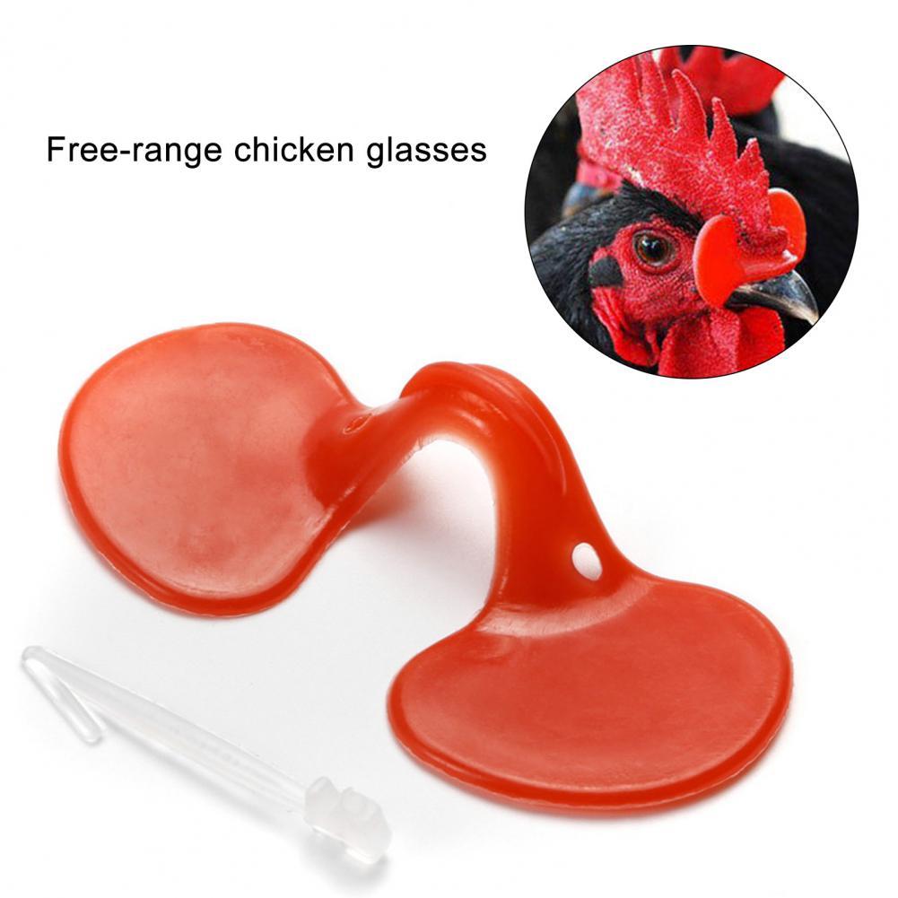 1 Set Great All-Purpose Poultry Blinders Chicken Glasses Set Plastic Chicken Glasses for Farm